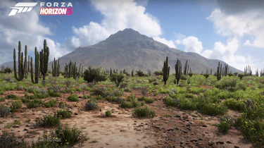 Forza Horizon 5