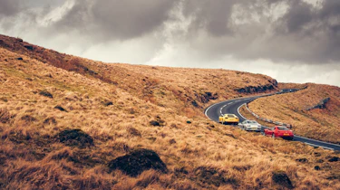 Ferrari GTs feature