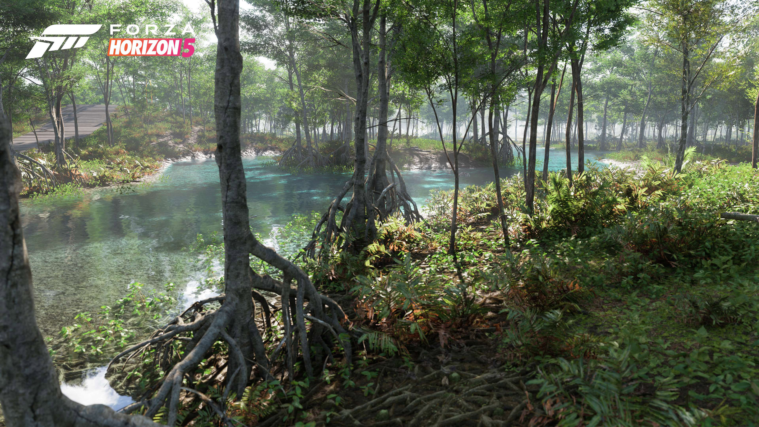 Forza Horizon 5 map