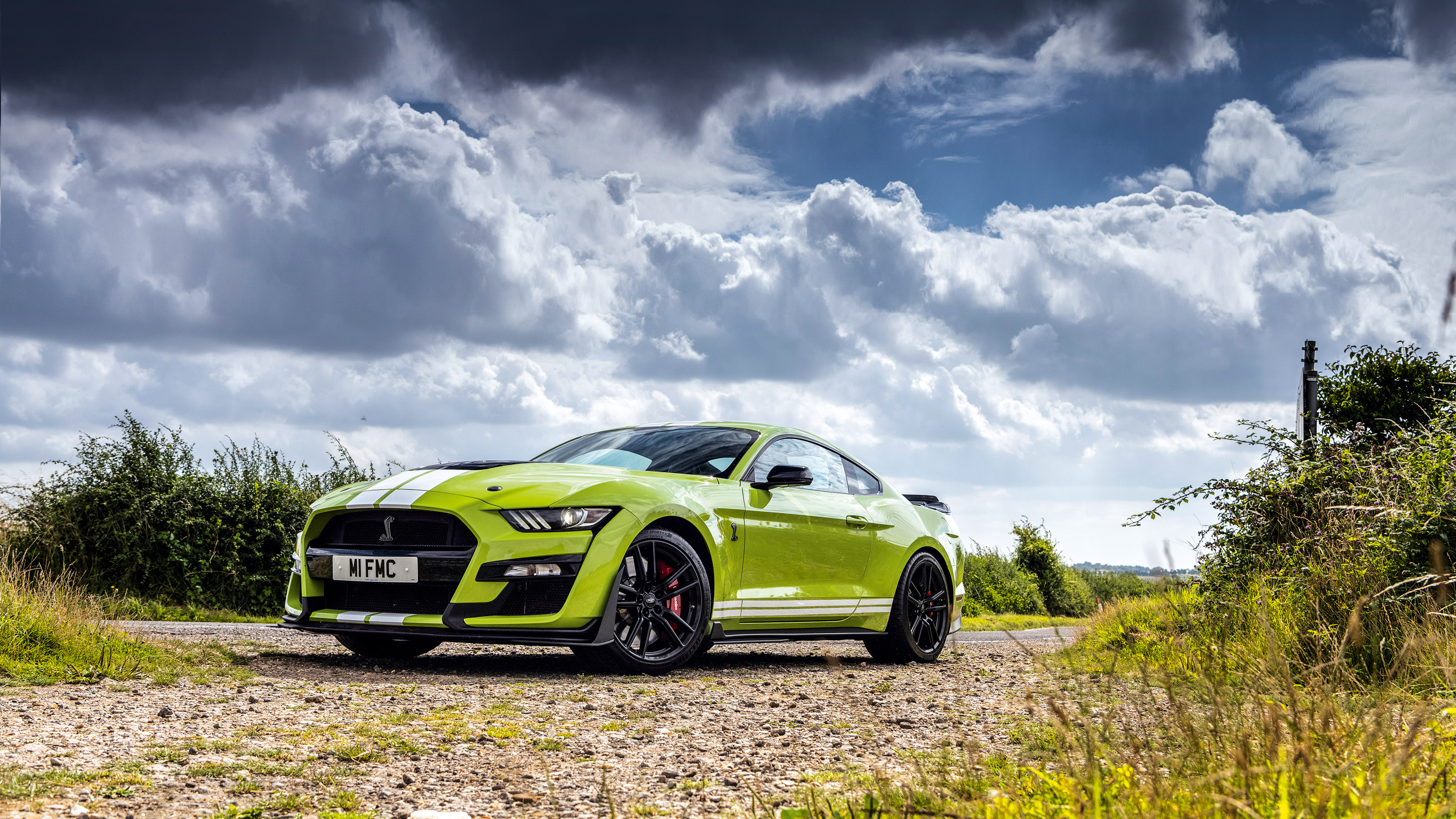 Ford Mustang Shelby GT500