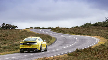 Ford Mustang Mach 1 – driver