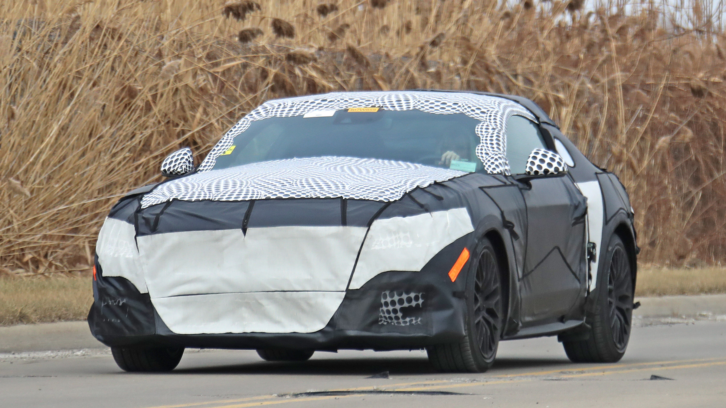 Ford Mustang Mule – nose