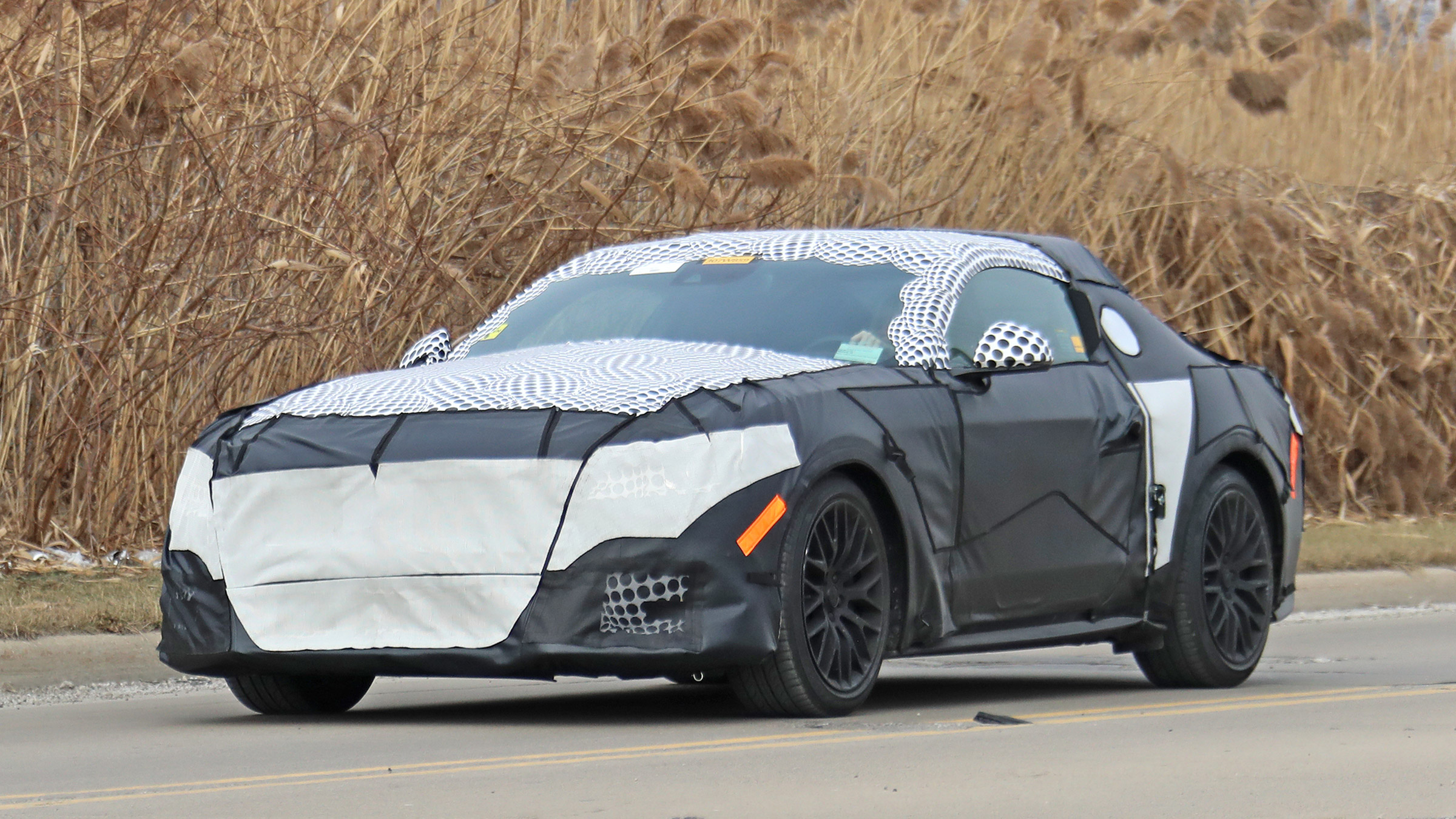 Ford Mustang Mule – front