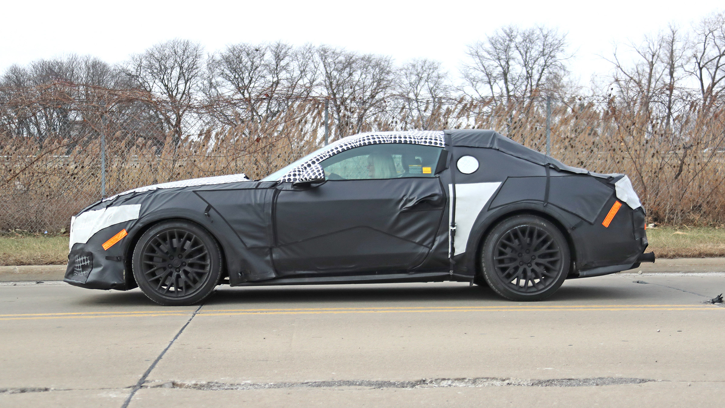 Ford Mustang Mule – side