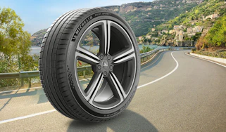 Michelin Pilot Sport 5