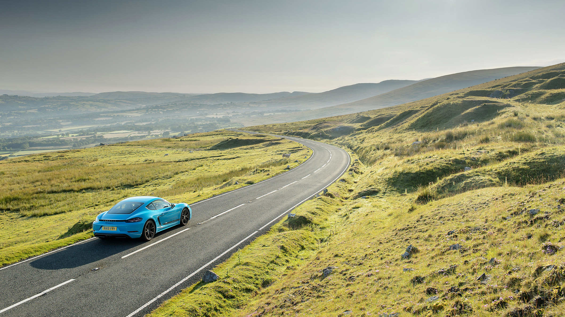Porsche 718 Cayman – T rear