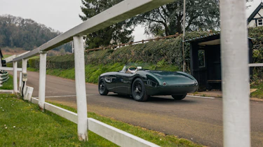 Healey by Caton – rear quarter static