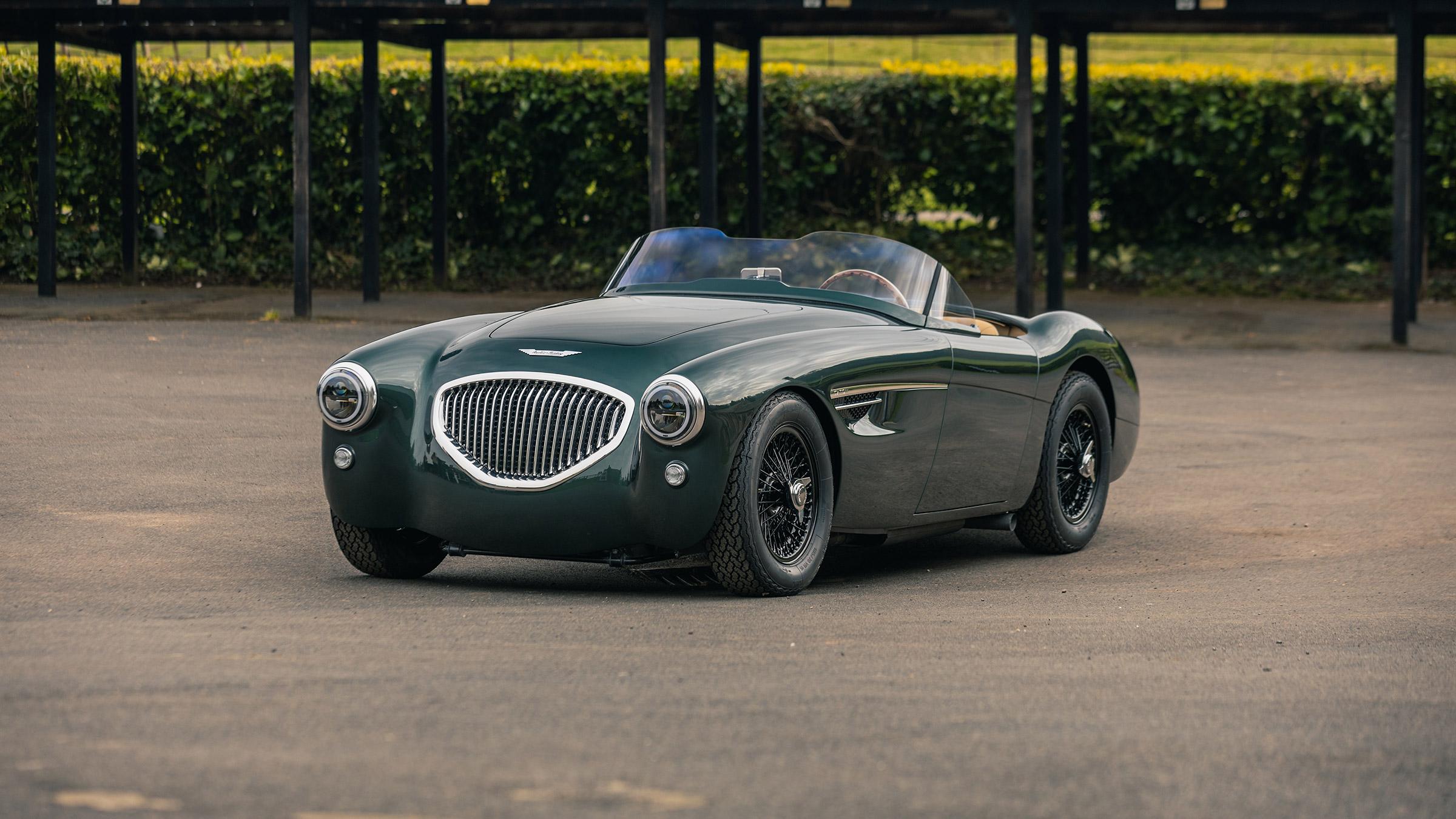 Healey by Caton – static