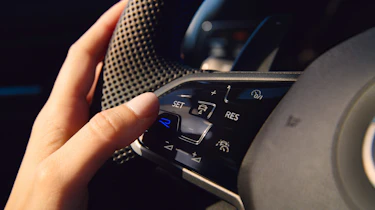 Volkswagen Golf R 20 Years – steering wheel