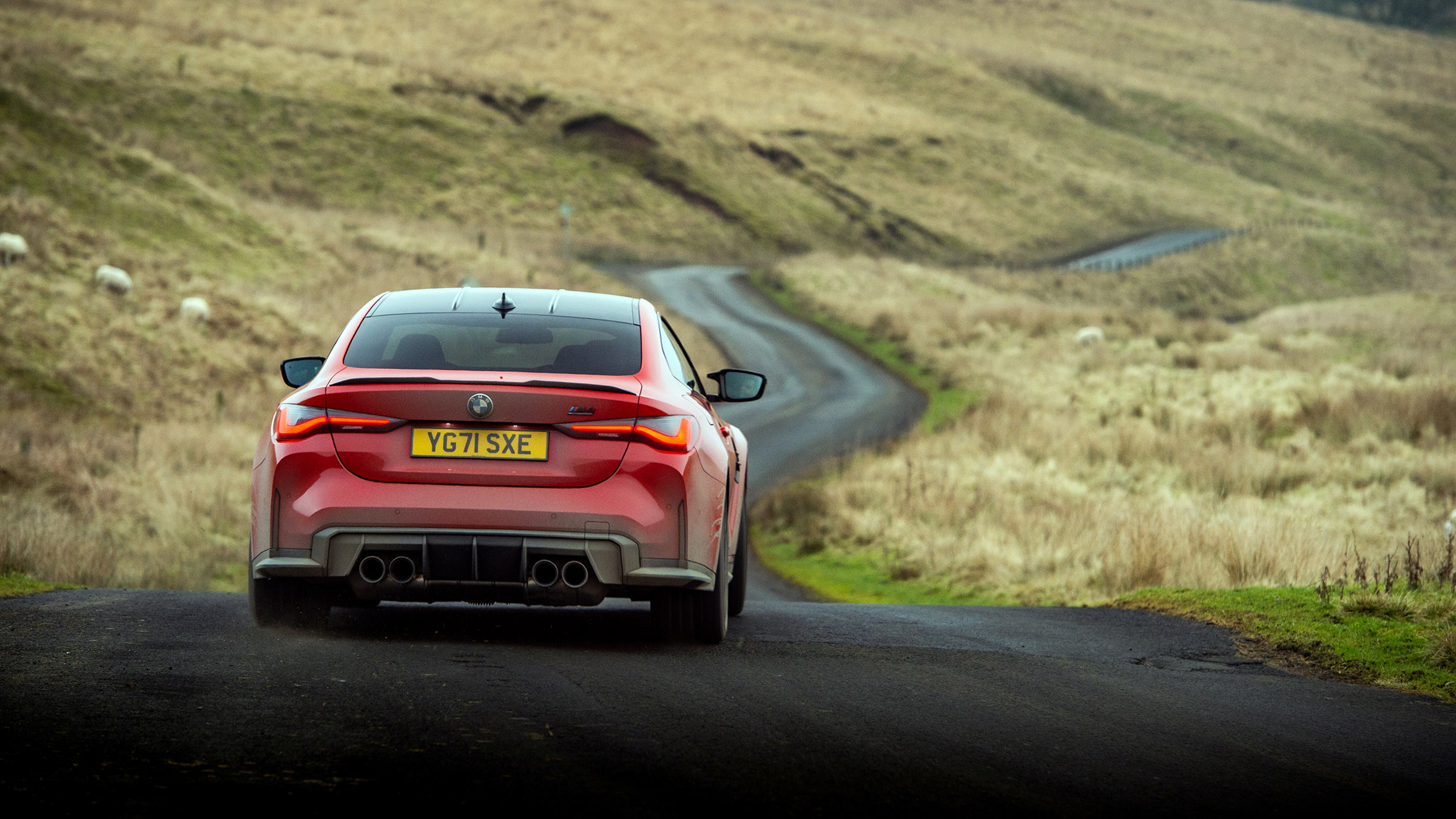 BMW M4 Competition xDrive – tail
