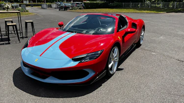 296 Spider – nose