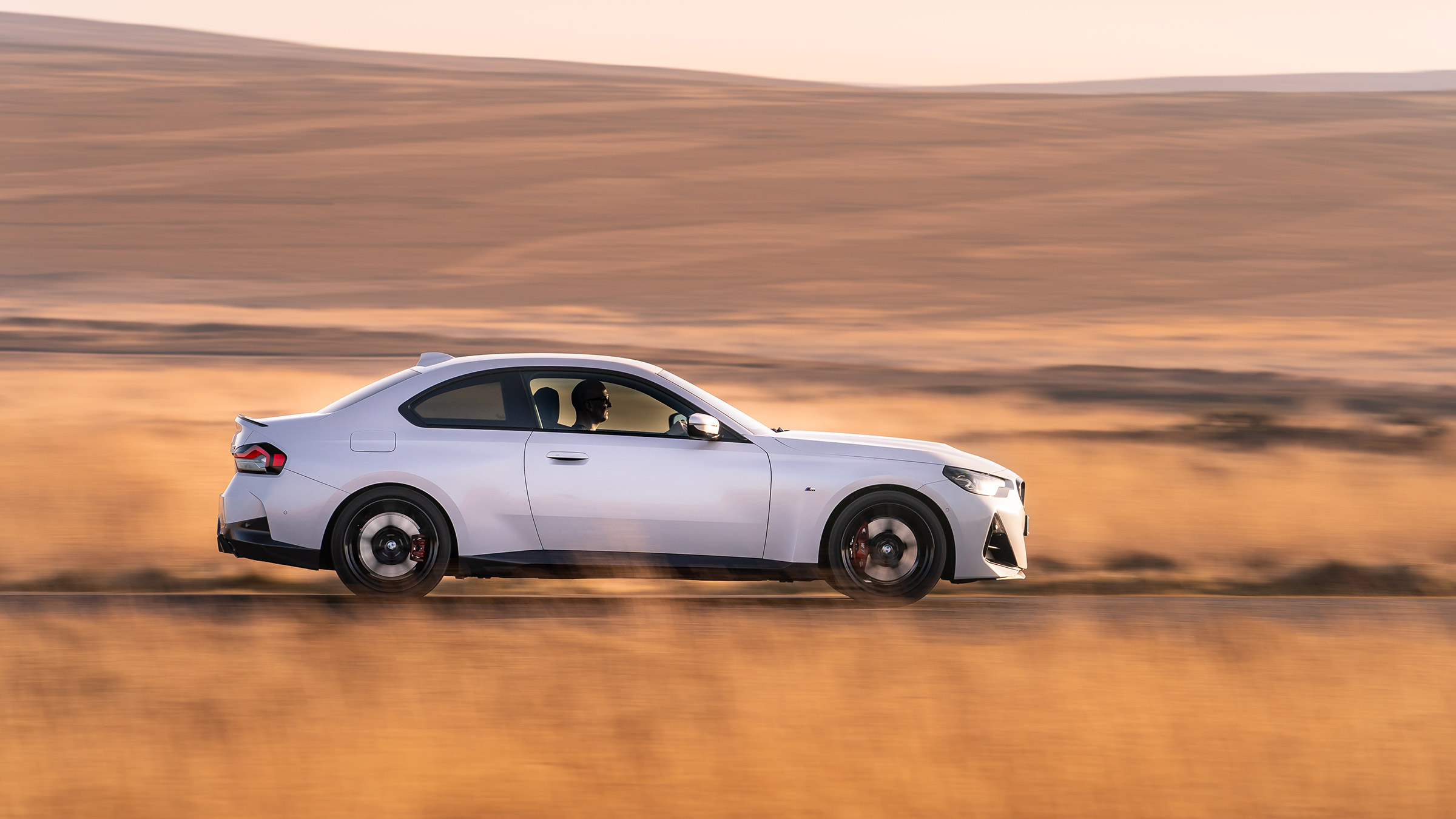BMW 220i – pan