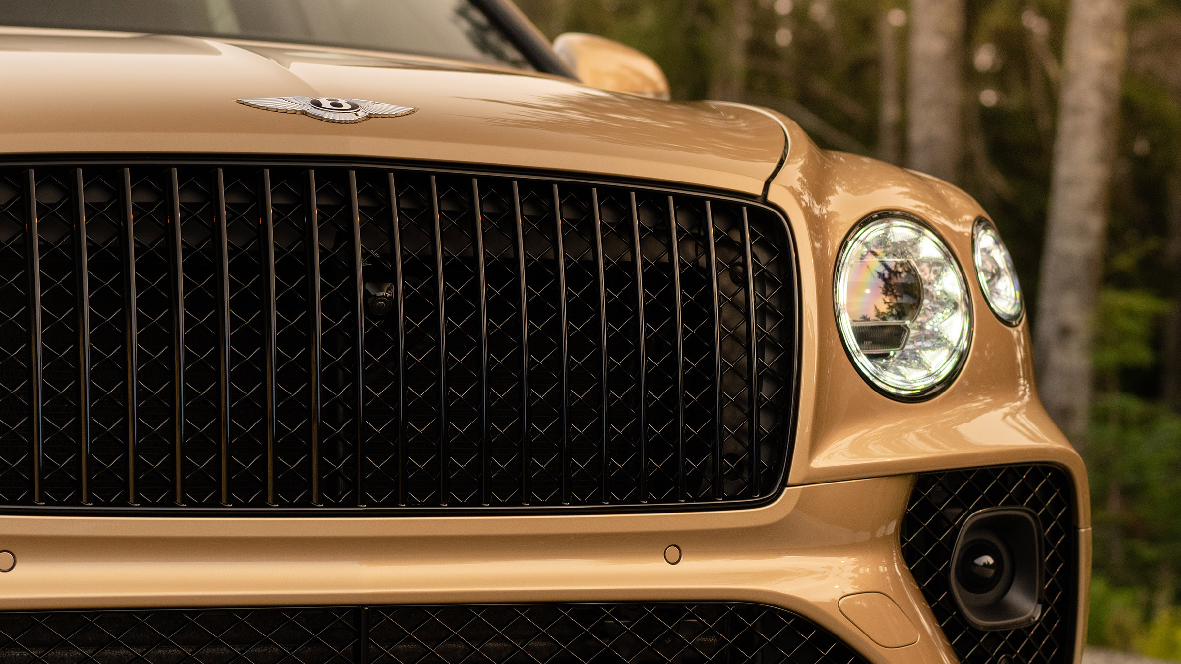 Bentley Bentayga EWB – grille