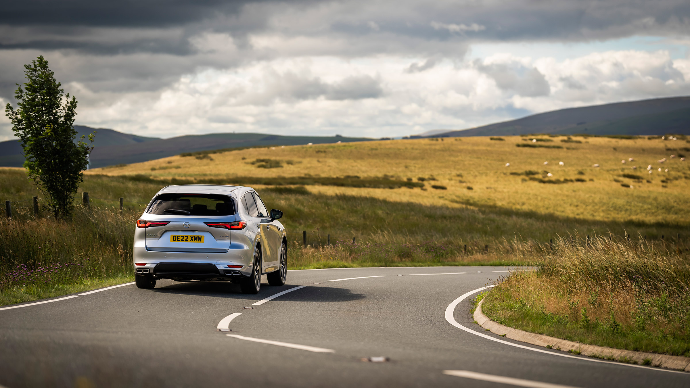 Mazda CX-60 2022 review – rear