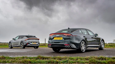 rears