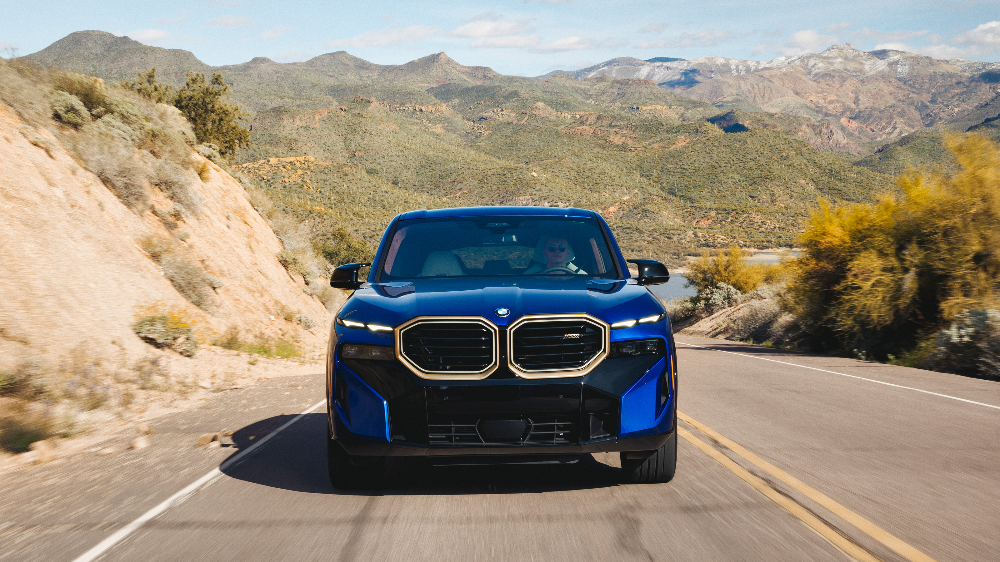 BMW XM