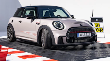 Mini Bulldog Racing Edition