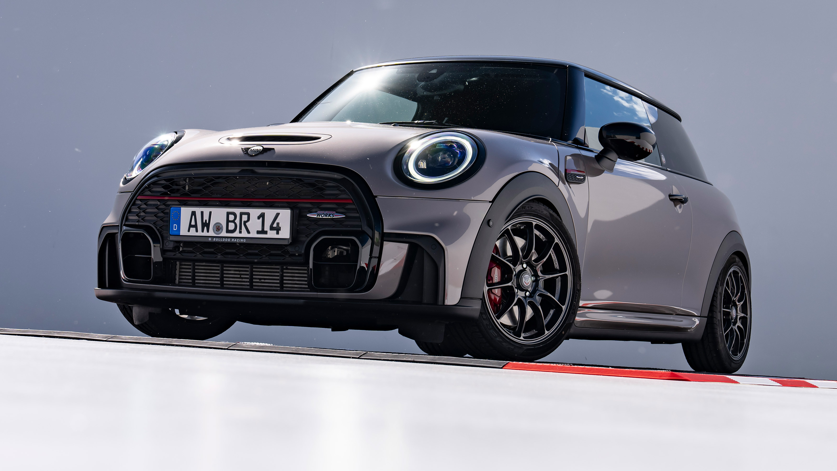 Mini Bulldog Racing Edition