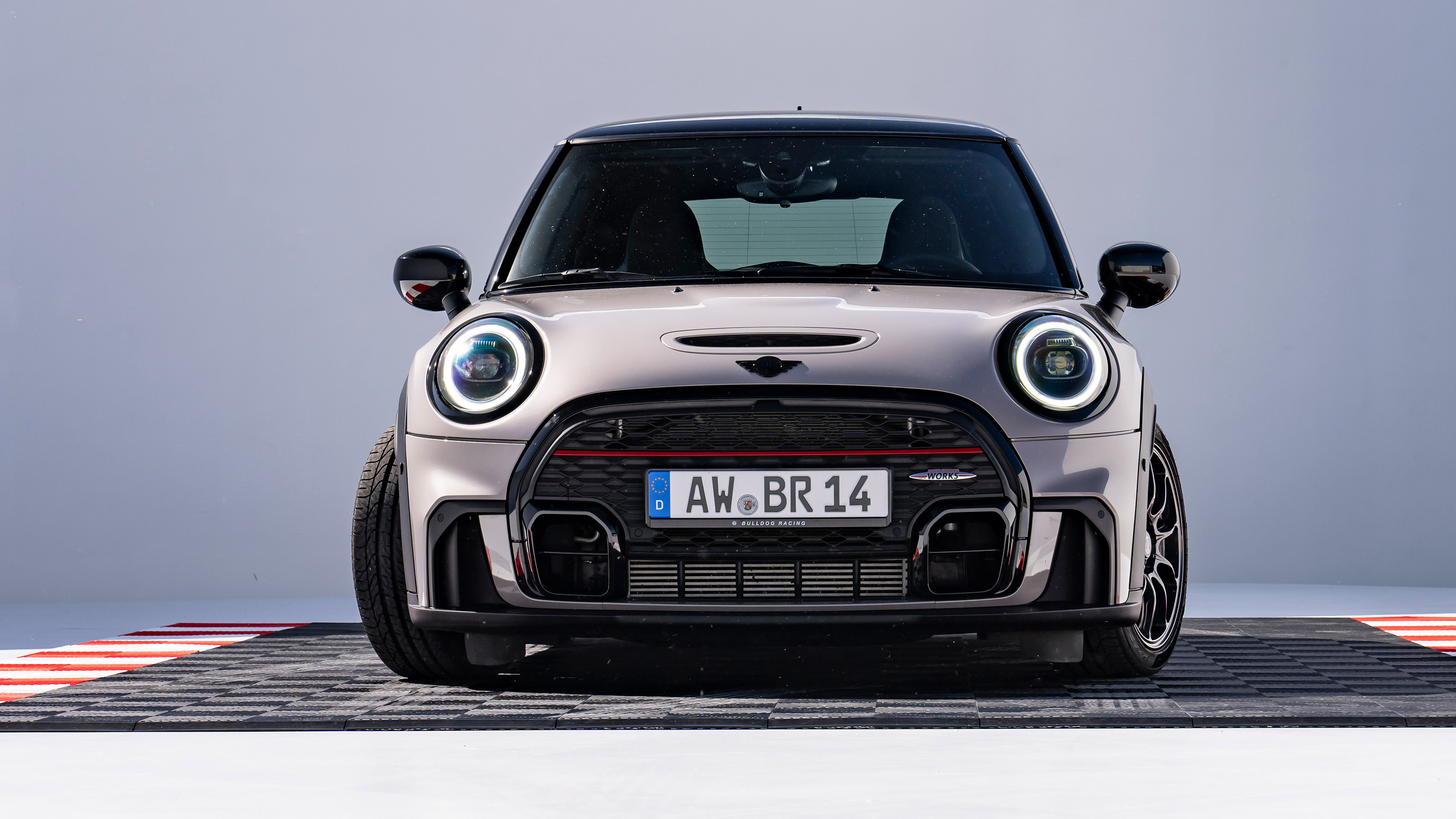 Mini Bulldog Racing Edition