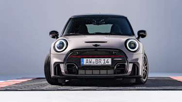Mini Bulldog Racing Edition