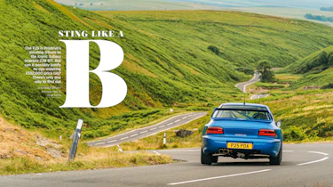 evo issue 313