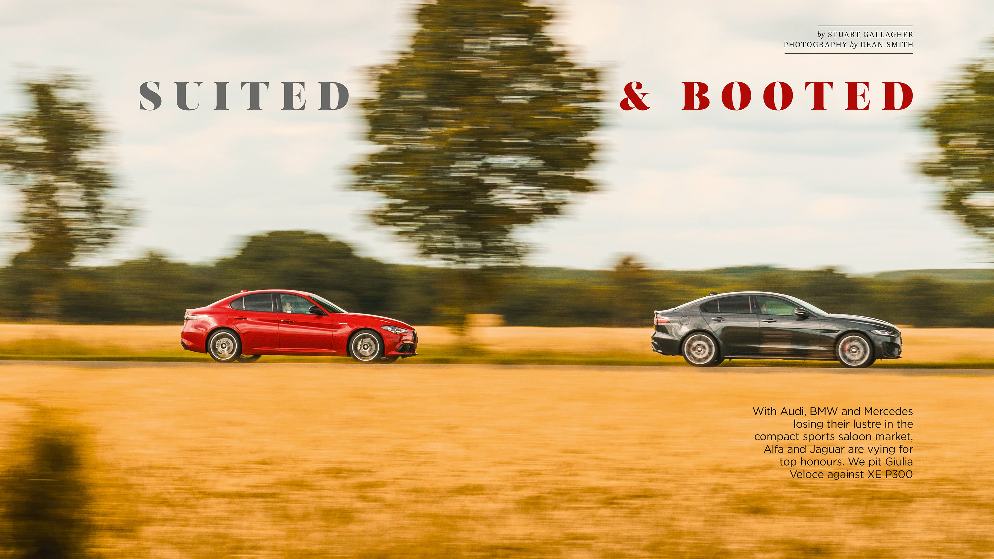evo issue 313