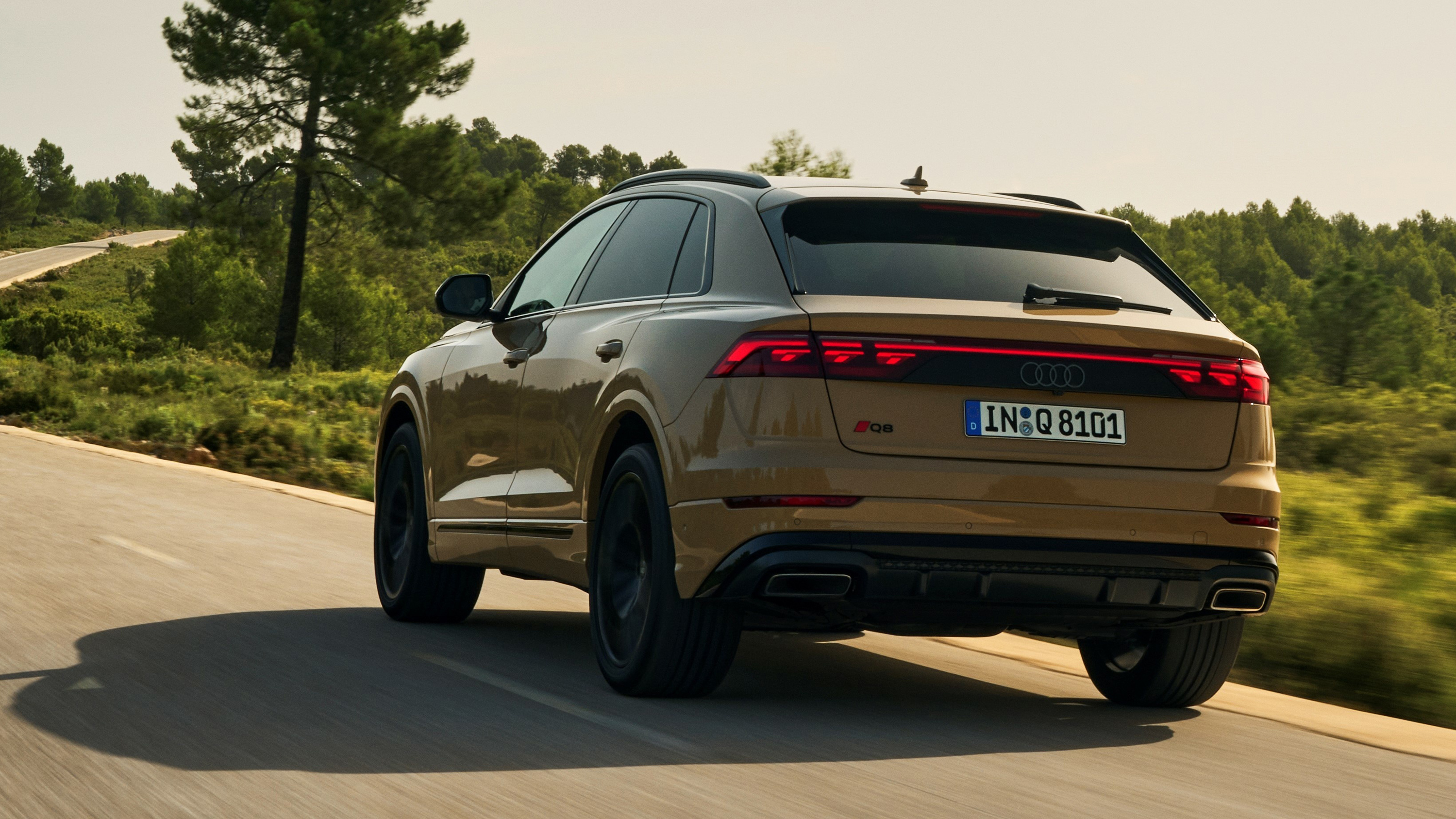 Audi Q8 – rear