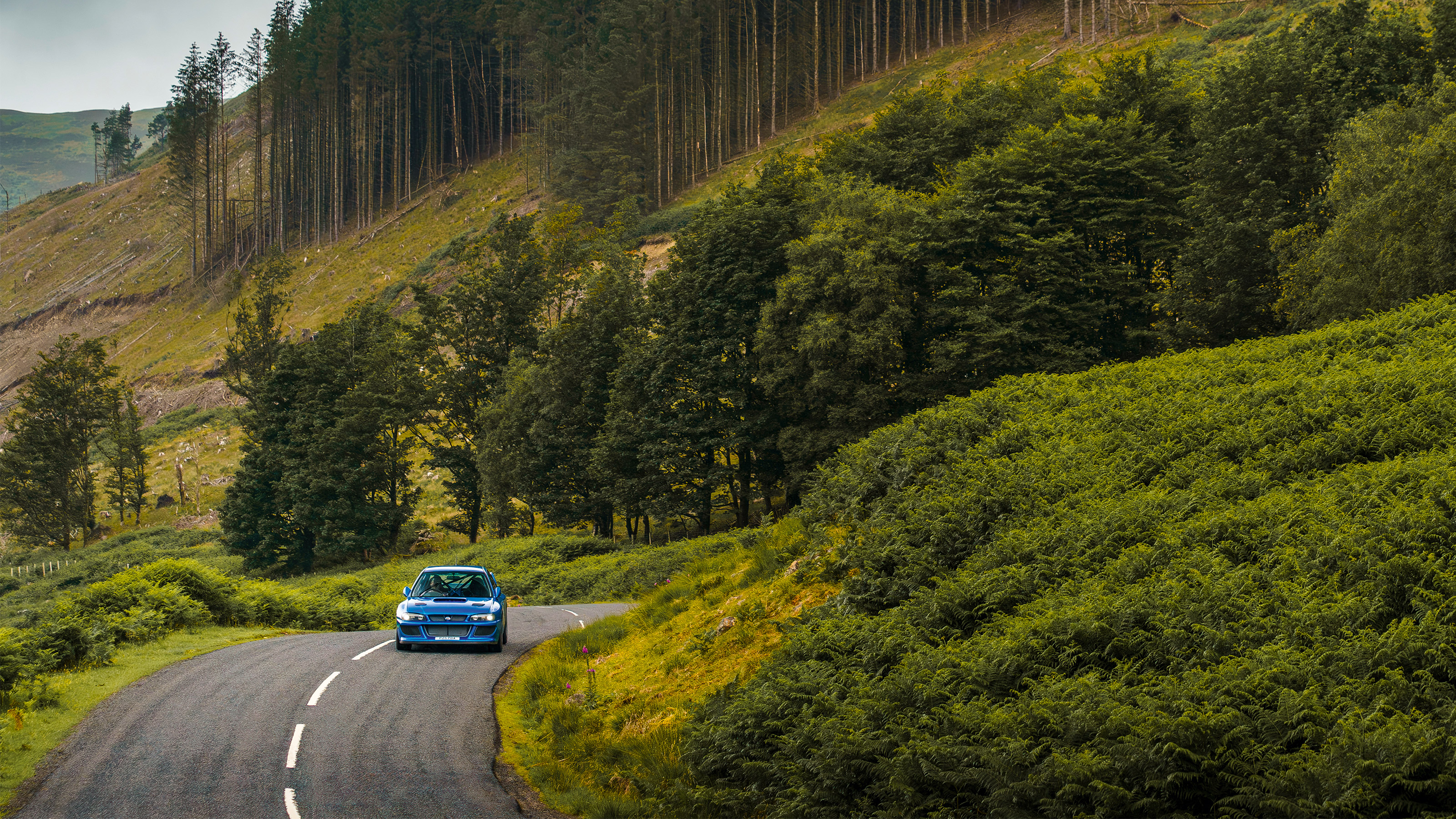 Prodrive P25