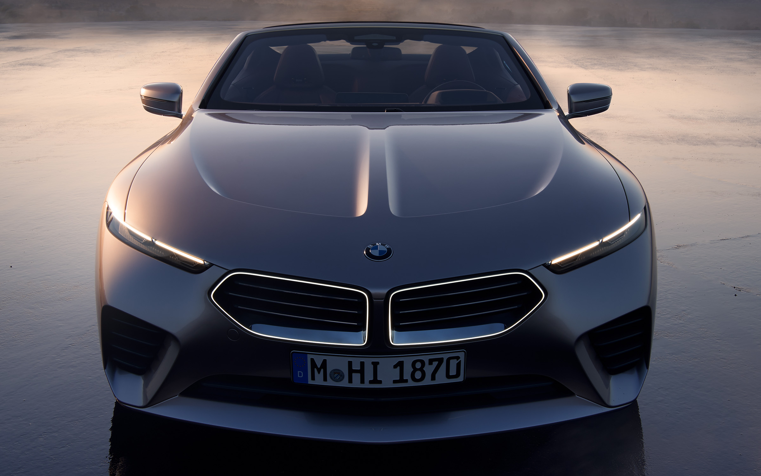 BMW Skytop nose
