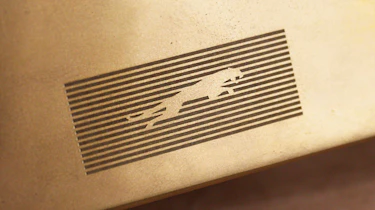 Jaguar rebrand leaper