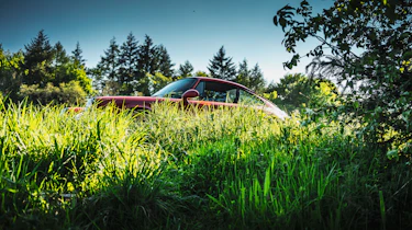 Phil McGovern Life and Cars