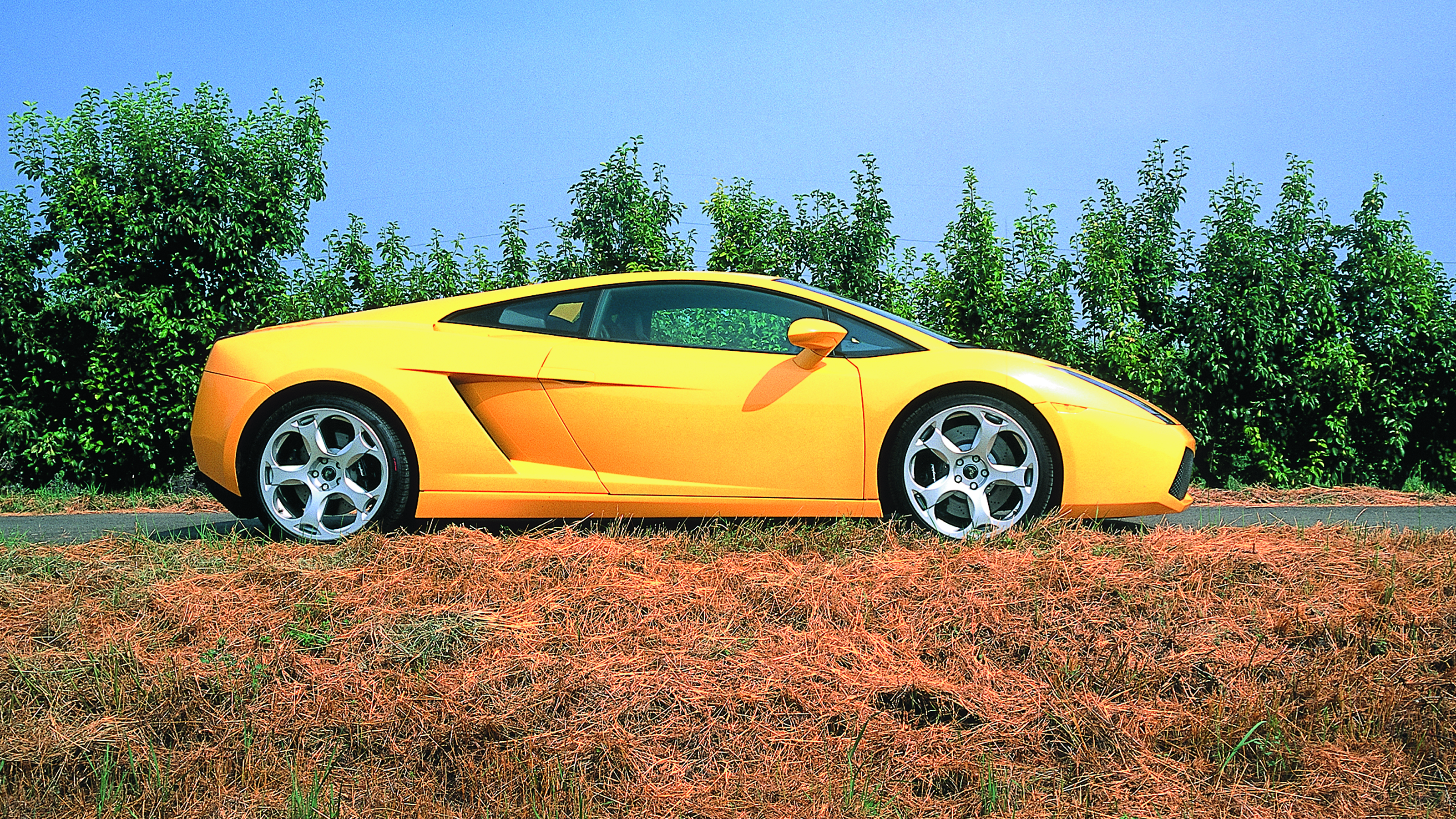 Lamborghini Gallardo icon