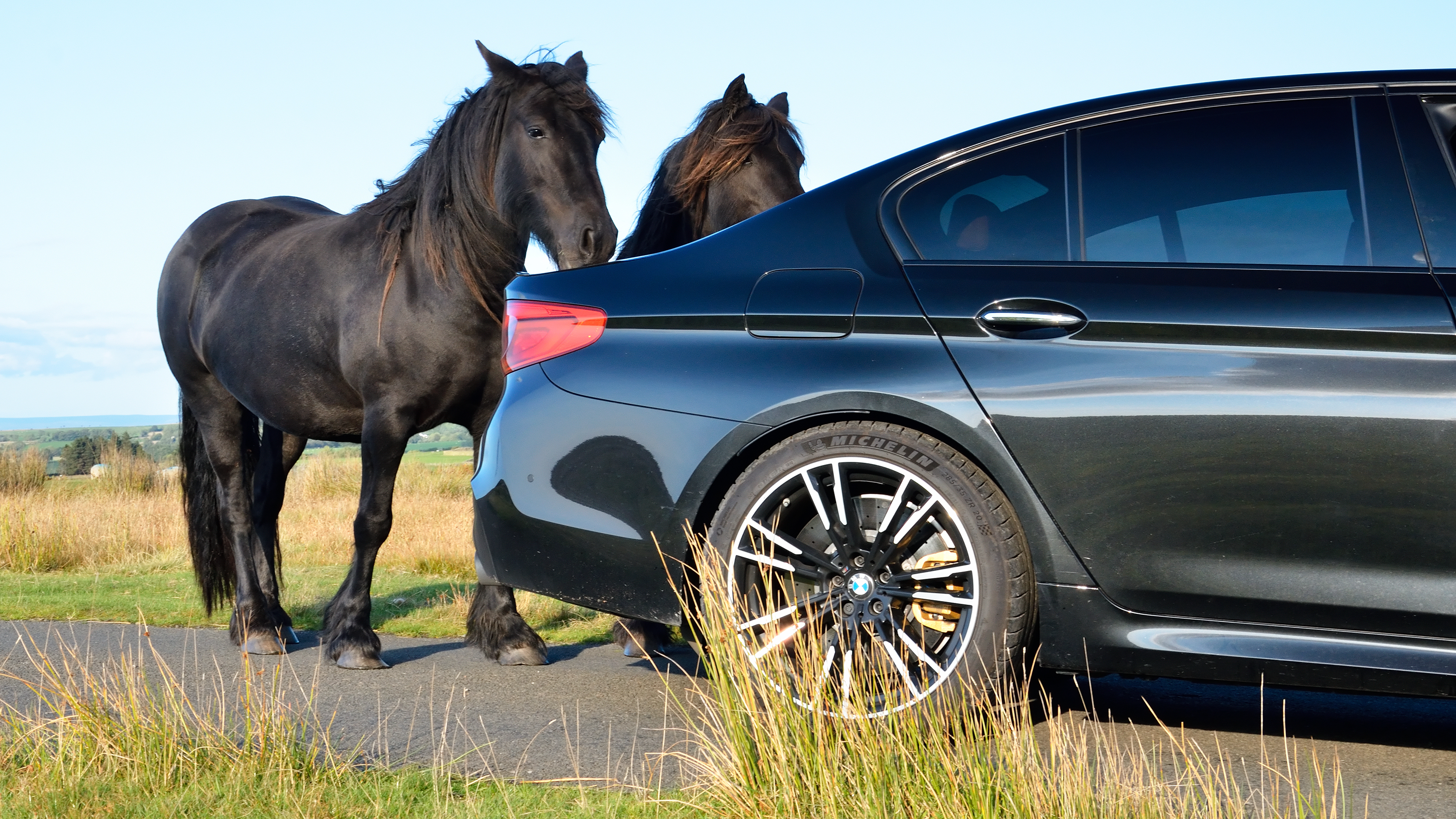 evo Fast Fleet BMW M5 F90