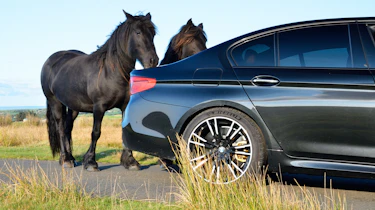 evo Fast Fleet BMW M5 F90