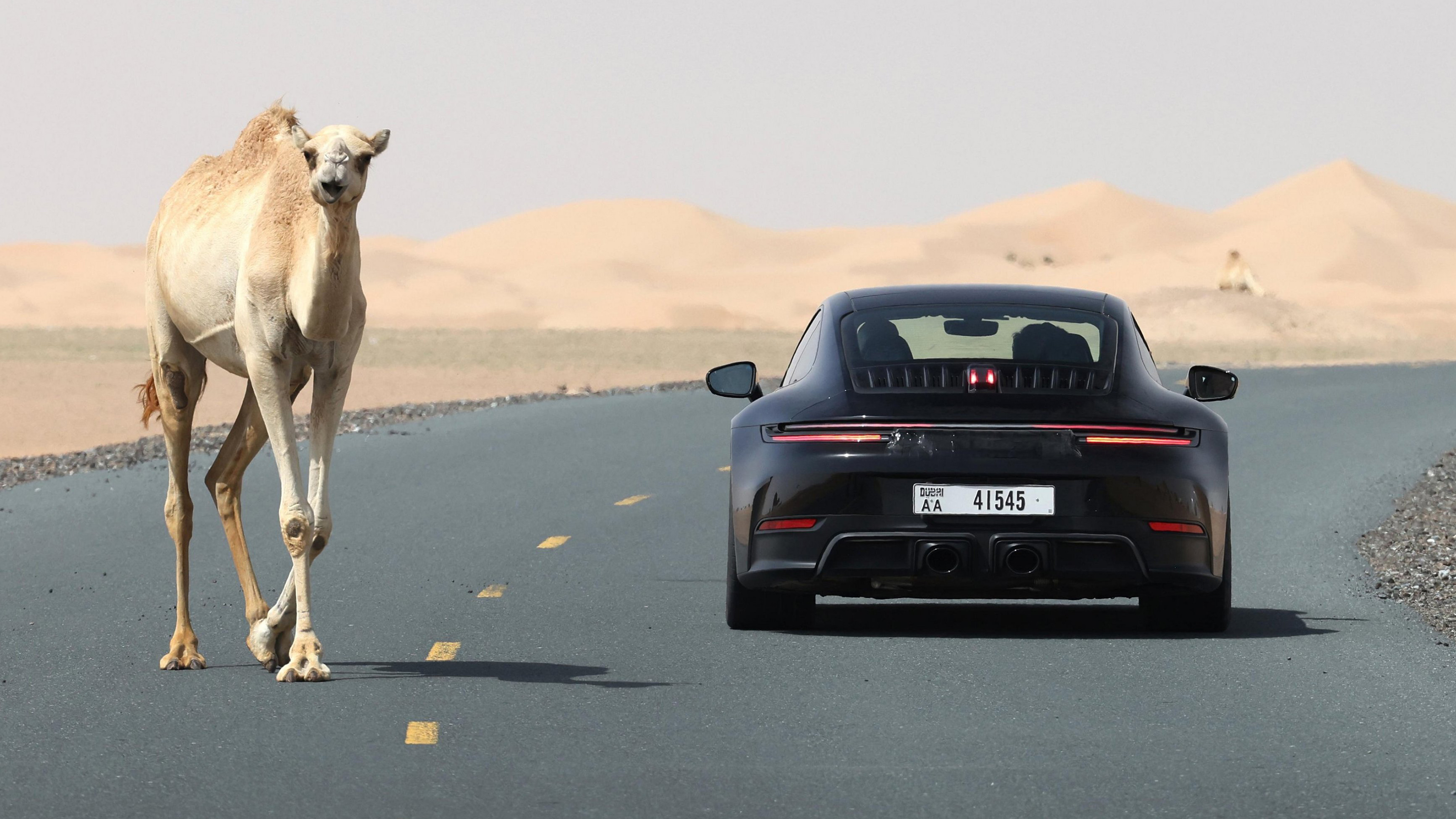 Porsche 911 992.2 hybrid – rear