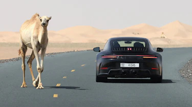 Porsche 911 992.2 hybrid – rear