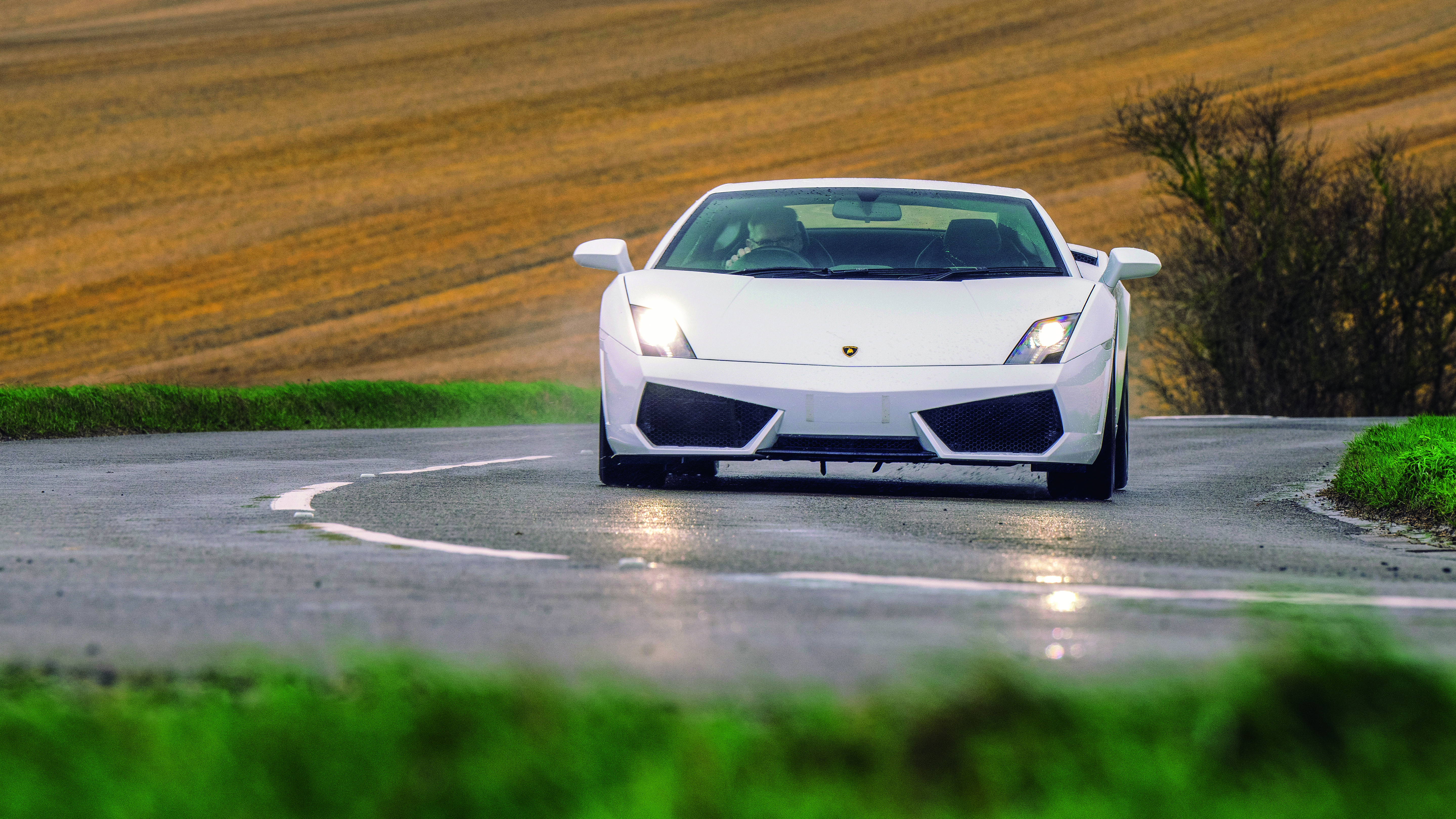 Gallardo front