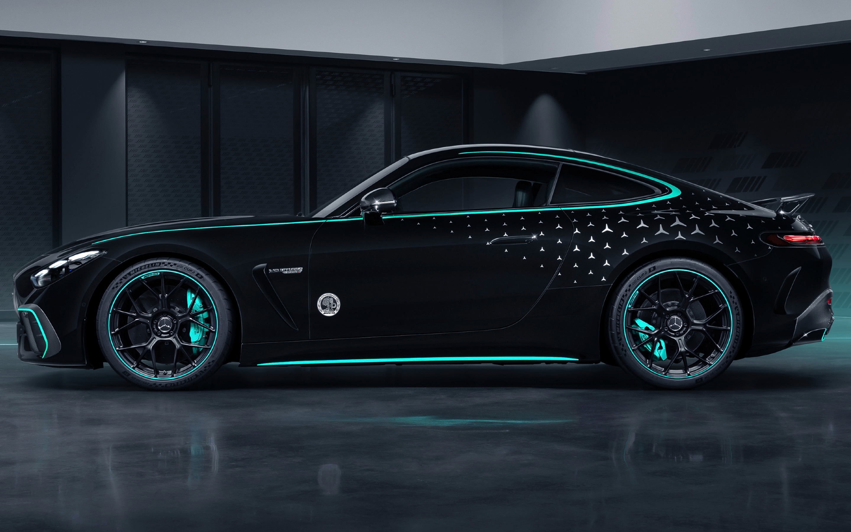 Mercedes-AMG GT Pro Motorsport Collectors Edition side