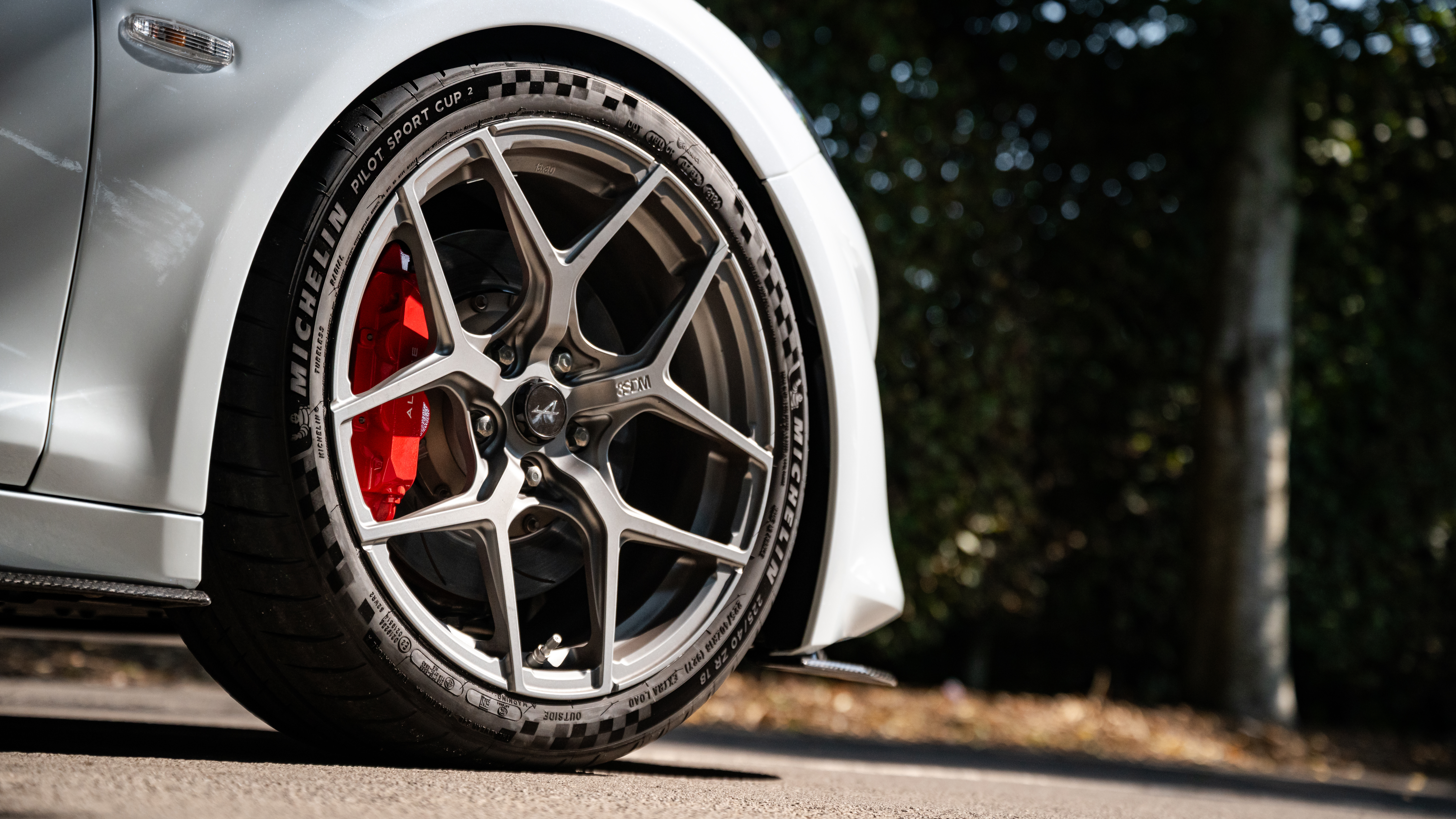 Life110 Alpine A110 R