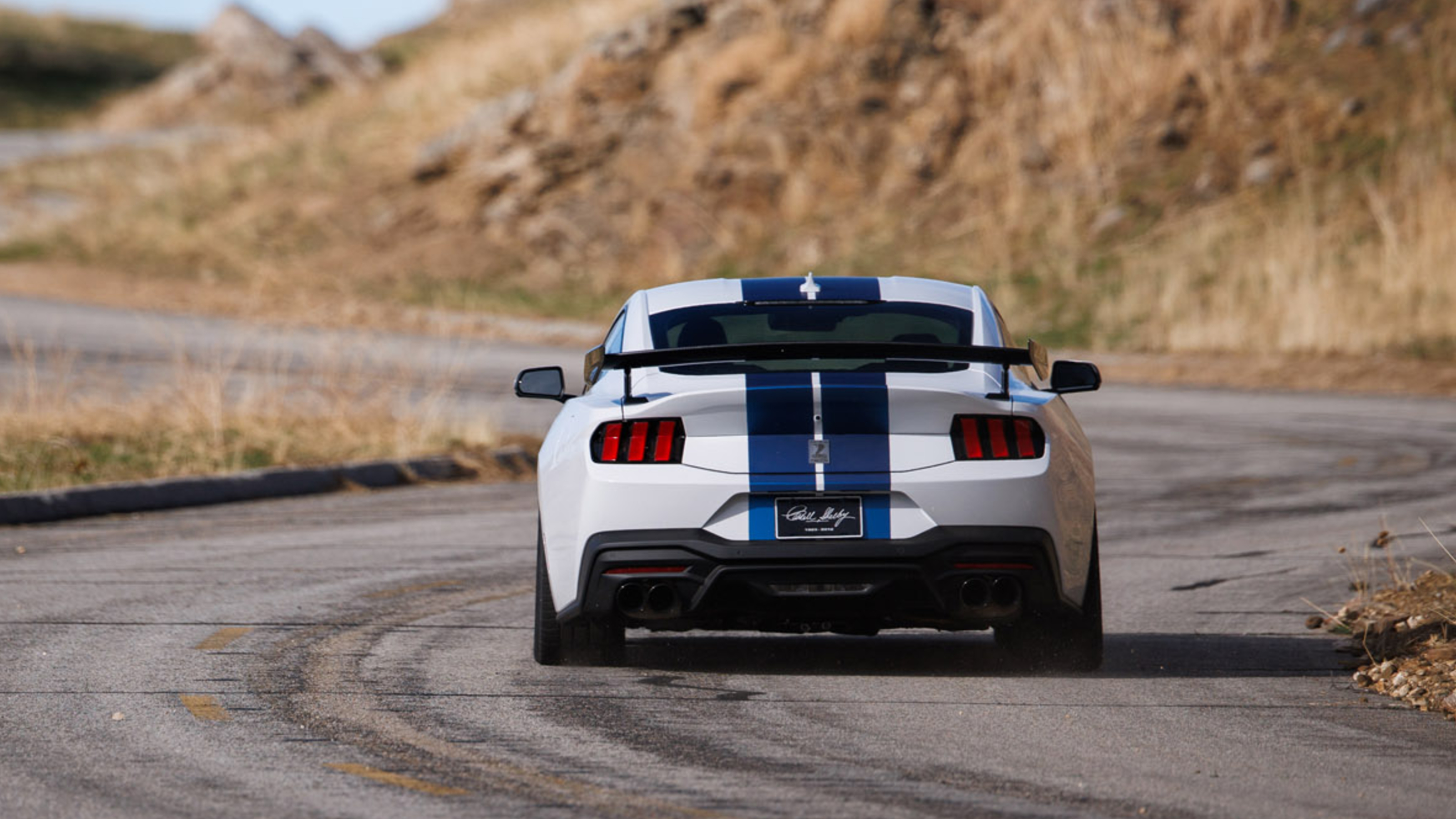 2025 Shelby Mustang GT350 rear