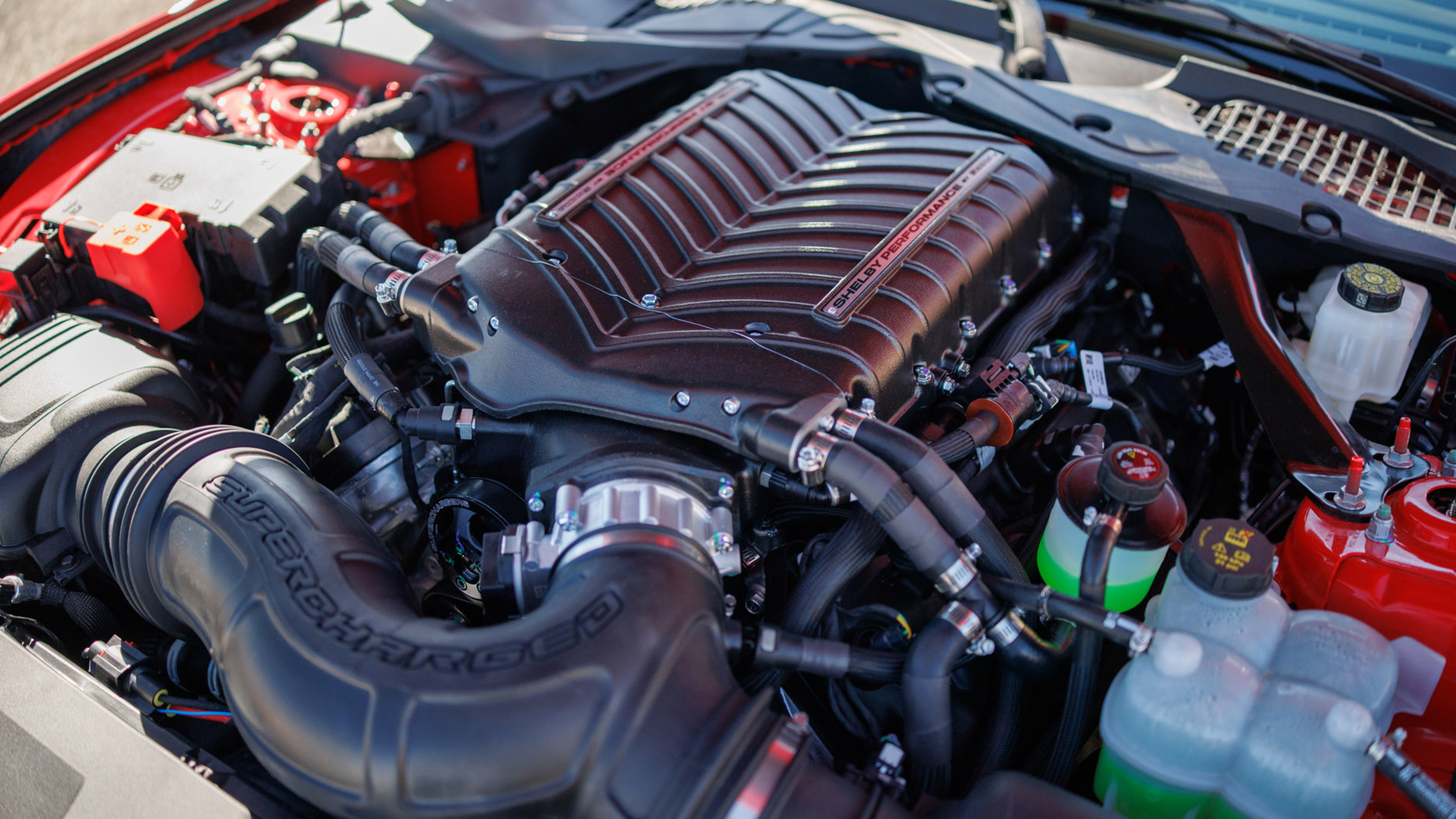 2025 Shelby Mustang GT350 engine