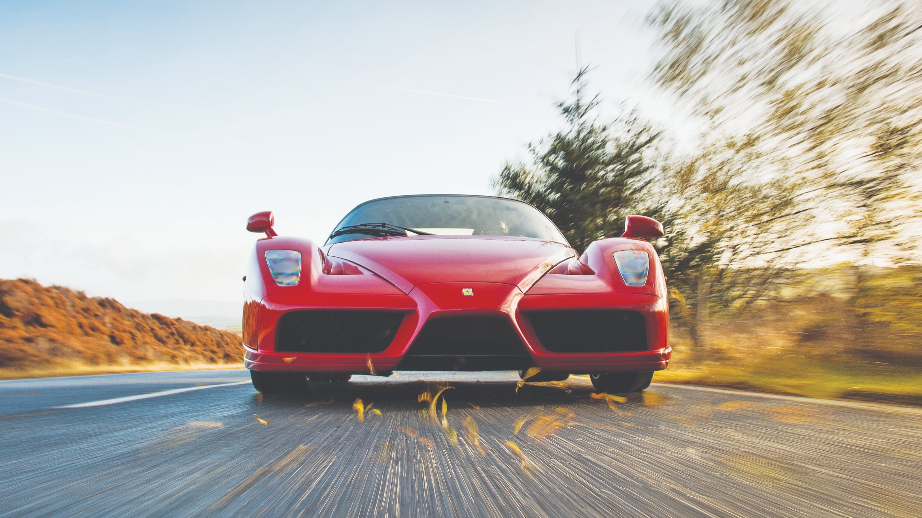 Ferrari Enzo front