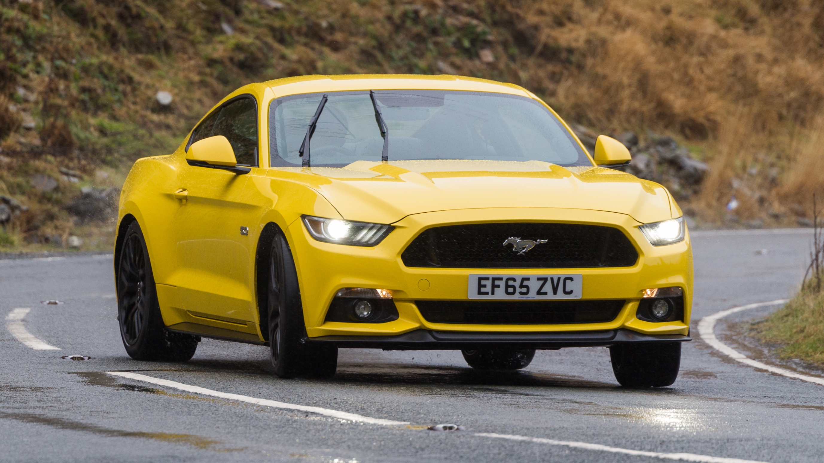 Ford Mustang (S550) front