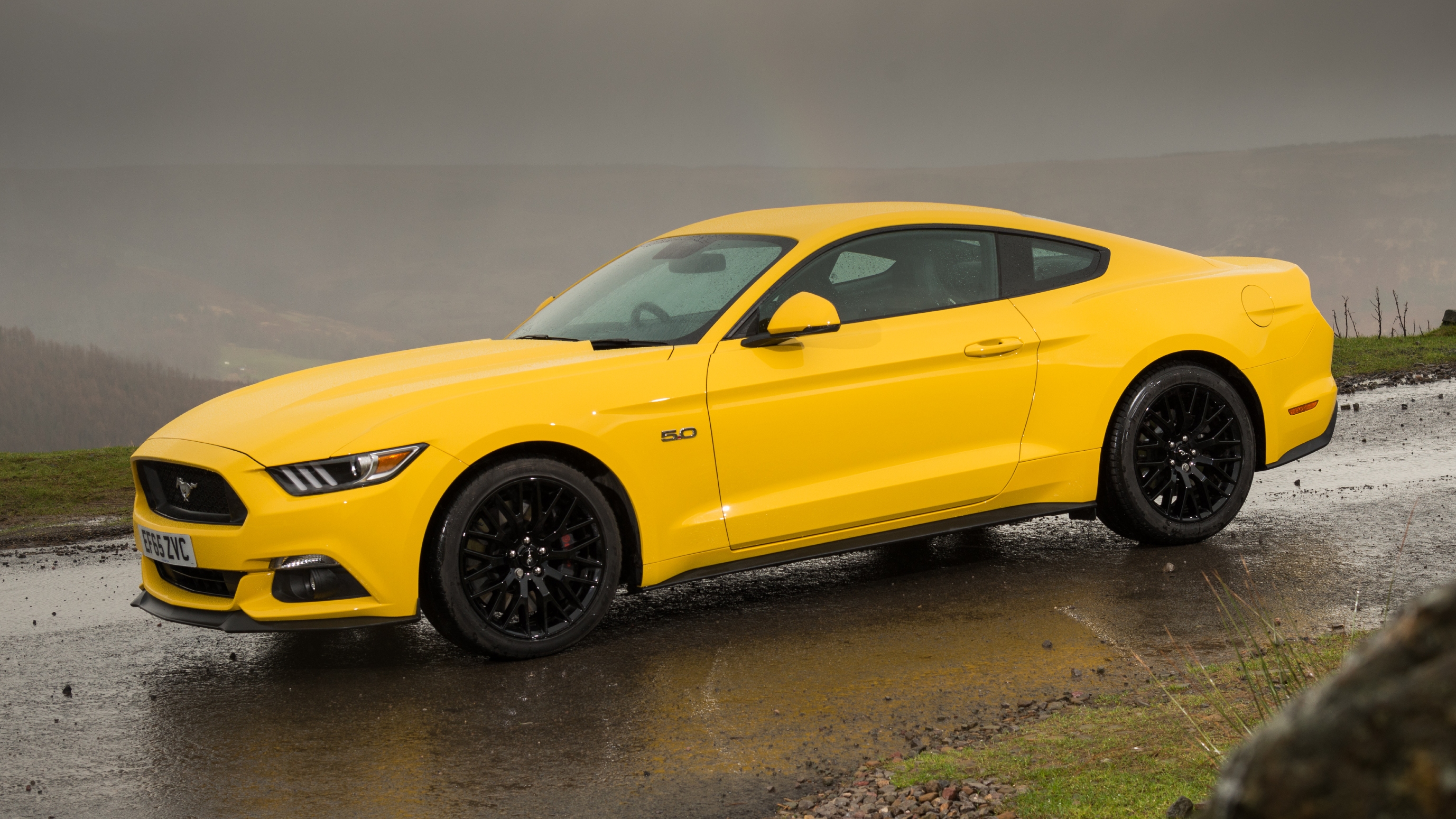 Ford Mustang (S550) front