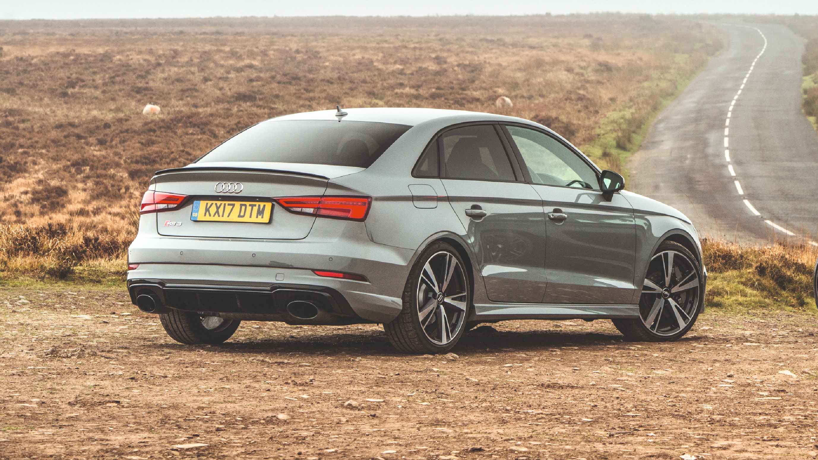 Audi RS3 (8V) rear