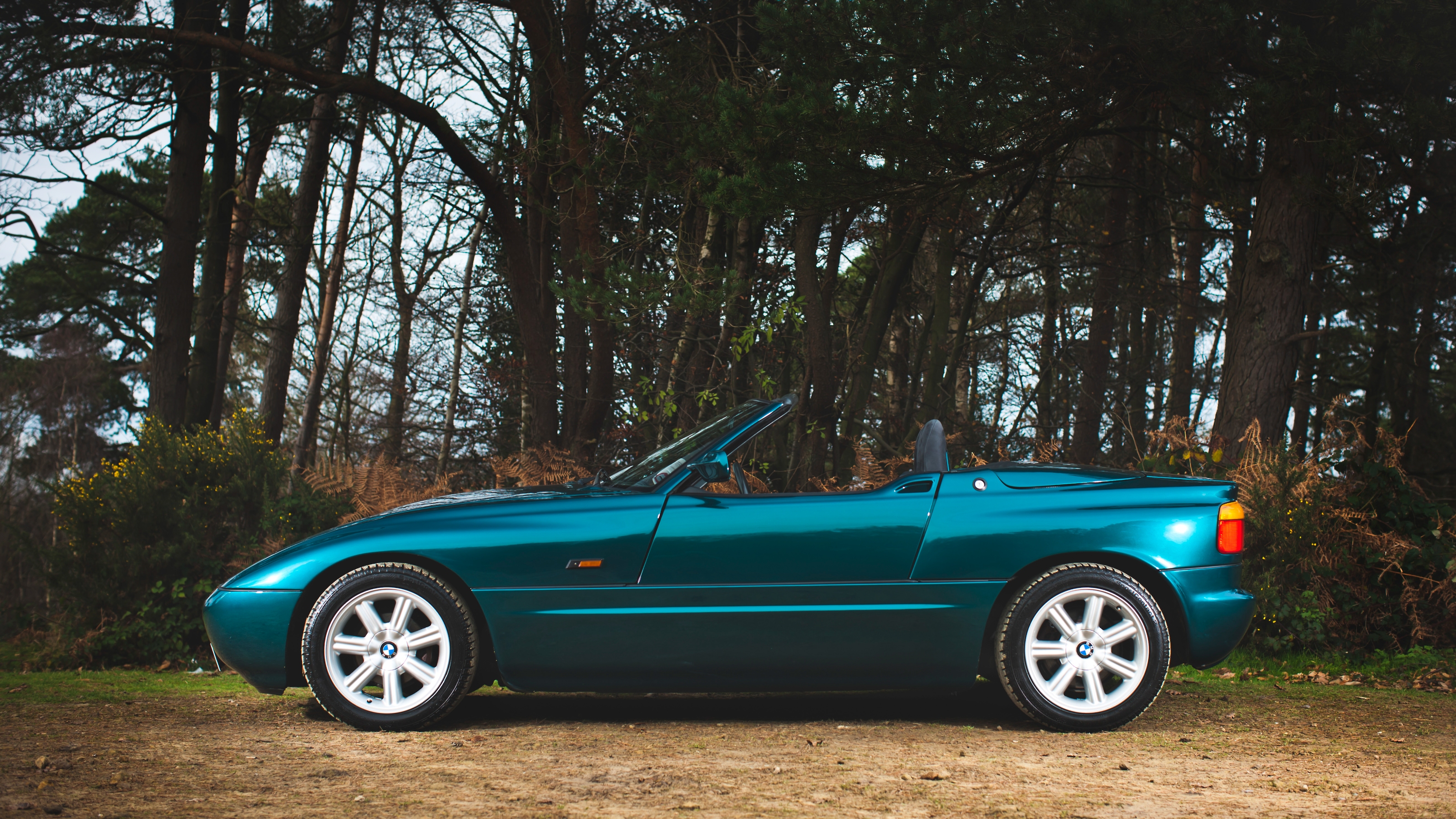 BMW Z1 side doors