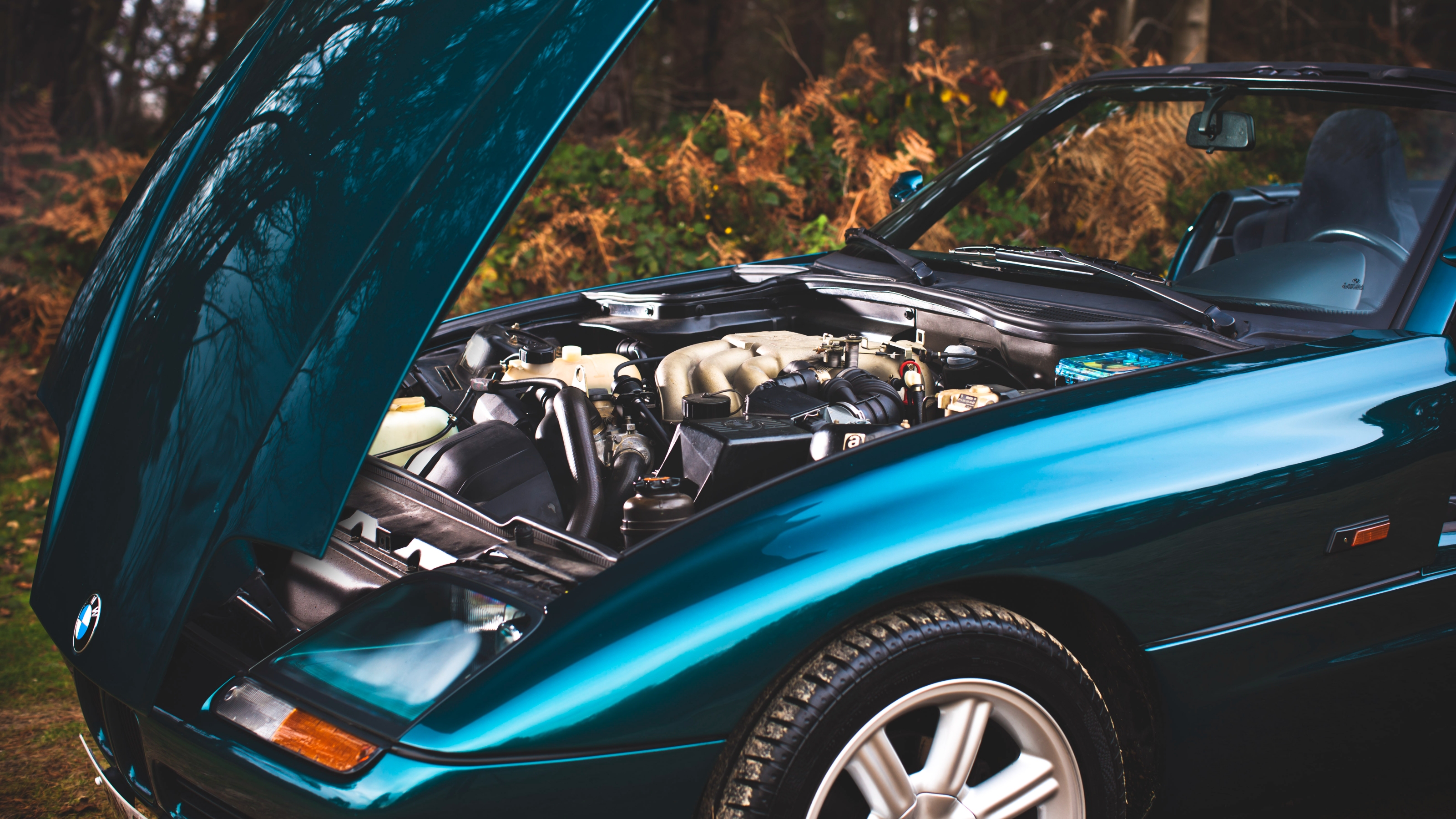 BMW Z1 engine
