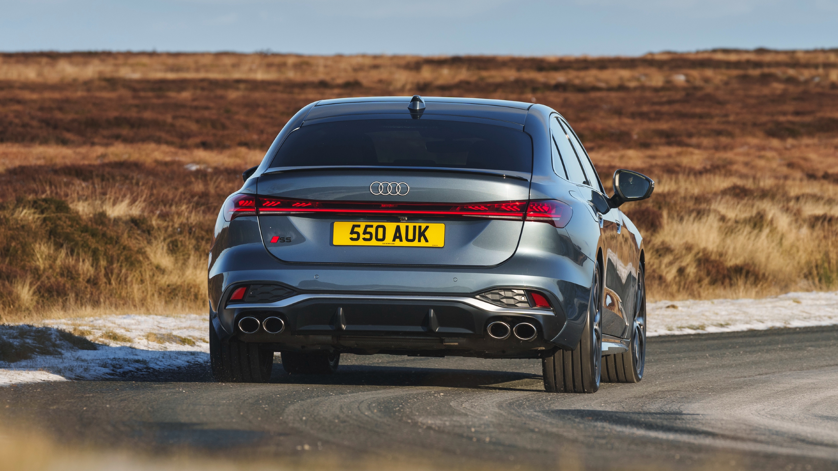 Audi S5 – rear