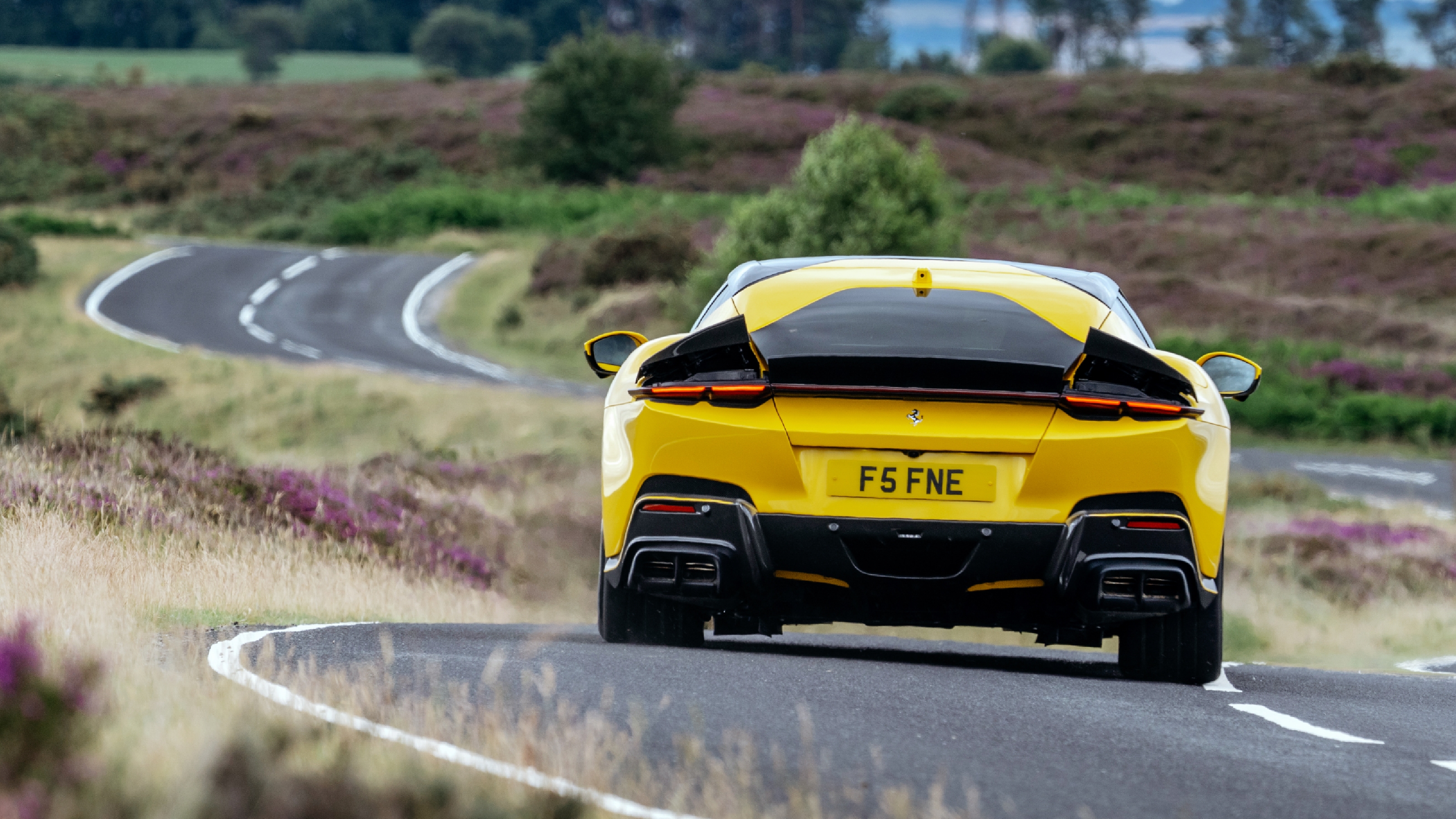 Ferrari 12 Cilindri rear