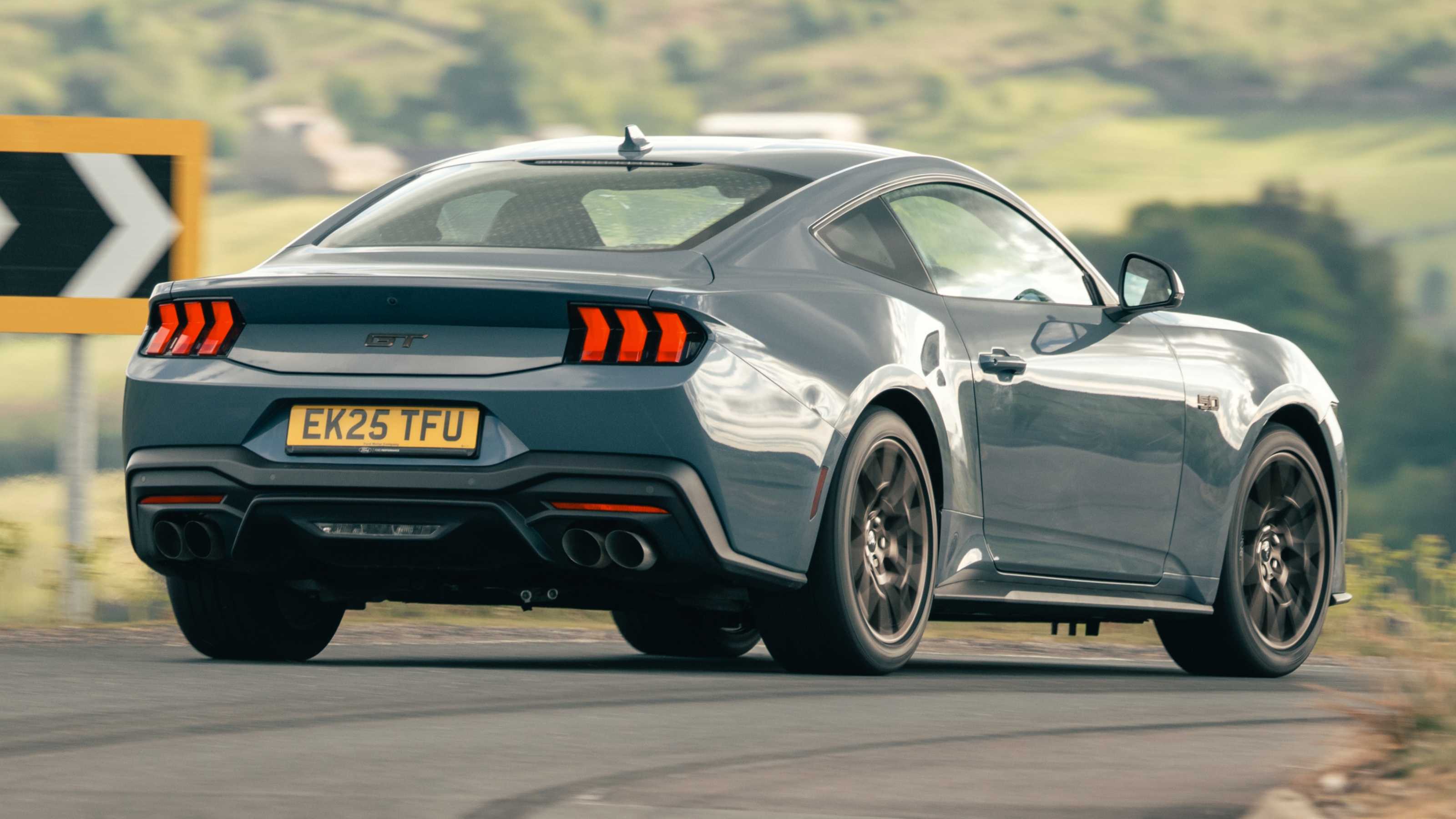 Mustang rear